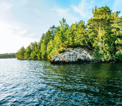 photo of lake and treeline